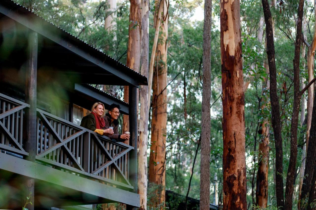 RAC Karri Valley Resort Pemberton Dış mekan fotoğraf